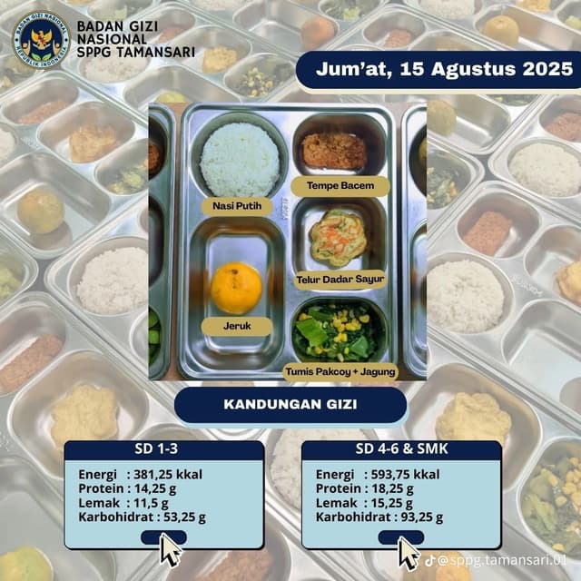 Program Makan Bergizi Gratis 2