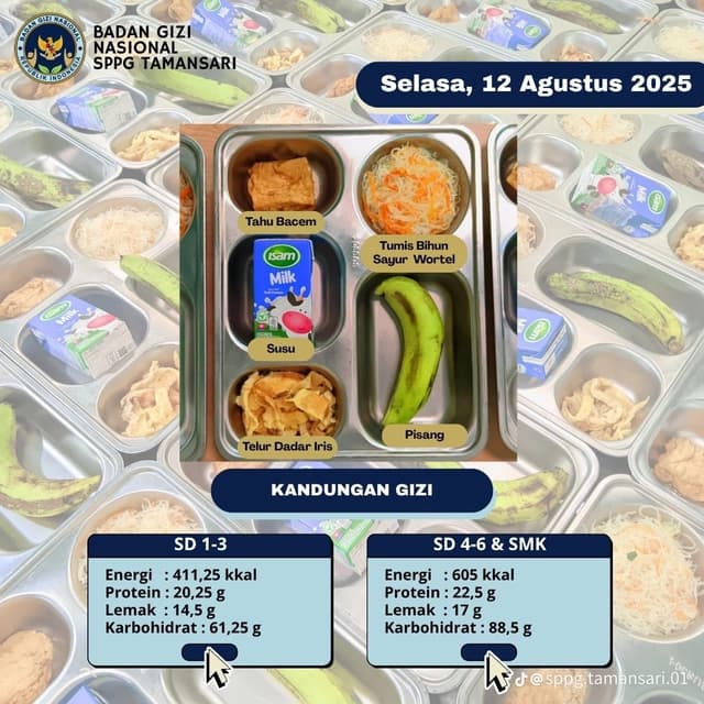 Program Makan Bergizi Gratis 3